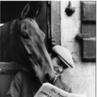 Arkle