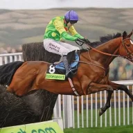 Kauto’s star