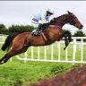 FinalFurlong91