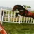 Istabraq