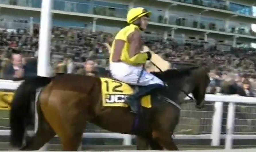 2021 Triumph Hurdle Countdown | Fat Jockey